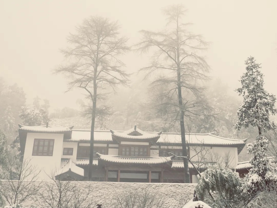 辛丑岁末，径山禅寺再迎瑞雪