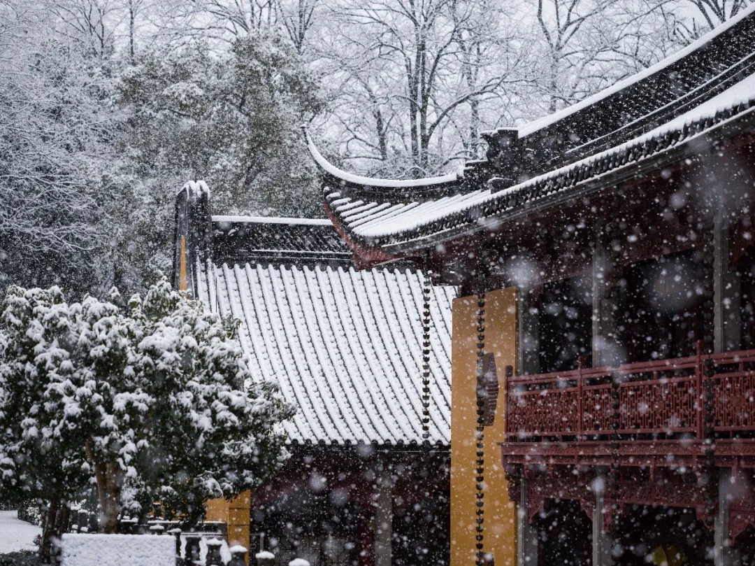 杭州灵隐寺新春瑞雪，雪满乾坤万象新