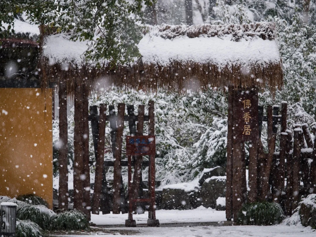 杭州灵隐寺新春瑞雪，雪满乾坤万象新