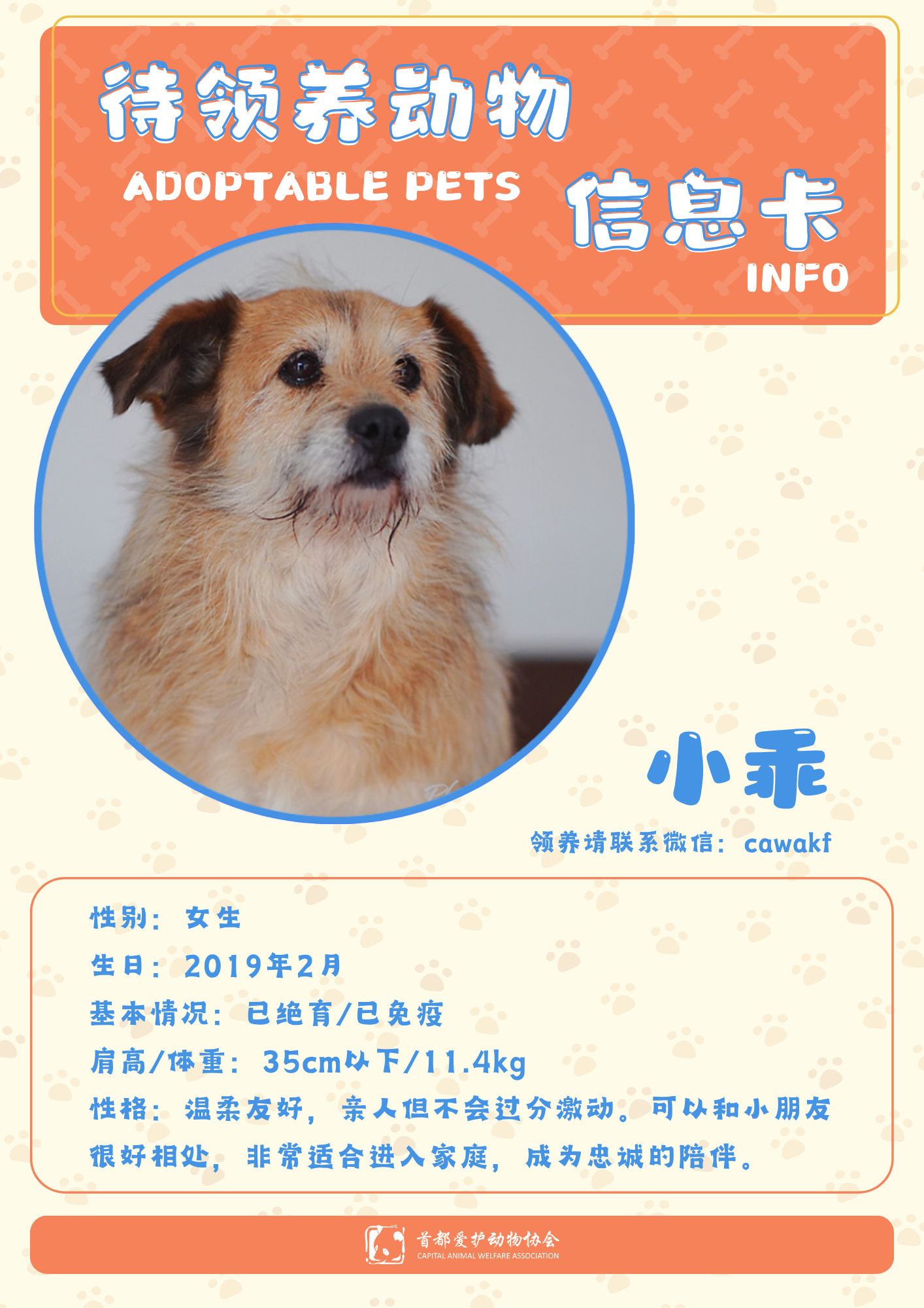 小乖-狗-2019年2月