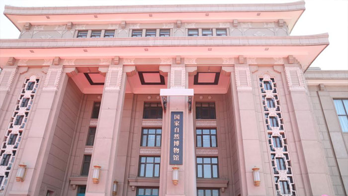 国家自然博物馆正式揭牌